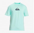 Quiksilver Solid Streak Short Sleeve UPF 50 Surf Tee EQYWR03386-GCZ0