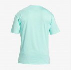 Quiksilver Solid Streak Short Sleeve UPF 50 Surf Tee EQYWR03386-GCZ0