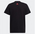 Adidas Sportswear T-shirt Essentials Two-Color Big Logo HR6369