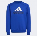 Adidas Essentials Big Logo Fleece Jogger Set IV7307