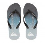 Quiksilver Molokai Art Beach Flip-Flops AQYL101360-XKBS