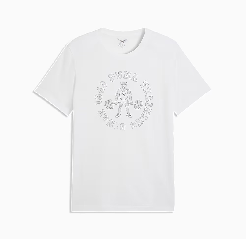 Puma Men's Graphic 2 Tee 528531-02