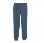 Puma ESS 2 COLOR No1 Logo Sweatpants FL cl 684713-37