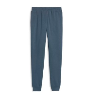 Puma ESS 2 COLOR No1 Logo Sweatpants FL cl 684713-37