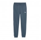 Puma ESS 2 COLOR No1 Logo Sweatpants FL cl 684713-37