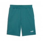 Puma ESS 2 Color No.1 Logo Shorts 684715-41