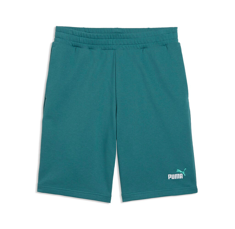 Puma ESS 2 Color No.1 Logo Shorts 684715-41