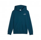 Puma ESS 2 Color Logo Hoodie 685825-36