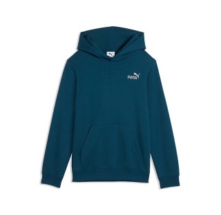 Puma ESS 2 Color Logo Hoodie 685825-36