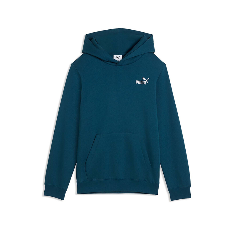 Puma ESS 2 Color Logo Hoodie 685825-36