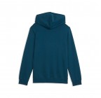 Puma ESS 2 Color Logo Hoodie 685825-36
