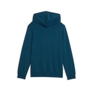 Puma ESS 2 Color Logo Hoodie 685825-36