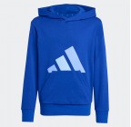 Adidas Essentials Big Logo French Terry Hoodie JV9901