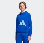 Adidas Essentials Big Logo French Terry Hoodie JV9901