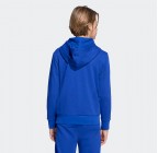 Adidas Essentials Big Logo French Terry Hoodie JV9901