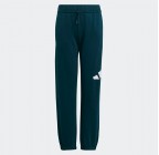 Adidas Sportswear Kids' Tracksuit Set JV9938