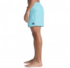 Quiksilver Everyday Printed Volley 15" EQYJV04219-BJK7