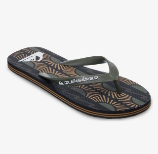 Quiksilver Molokai Art EQYL100082-CRE6