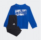 Adidas Essentials Sweatshirt and Pants HM6602