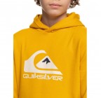 Quiksilver Big Logo Hoodie EQBFT03720-YKK0